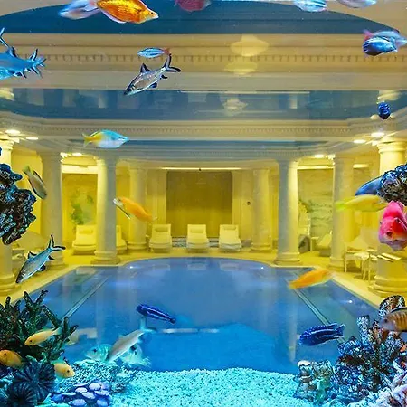 Hotel Palacyk Business & Spa